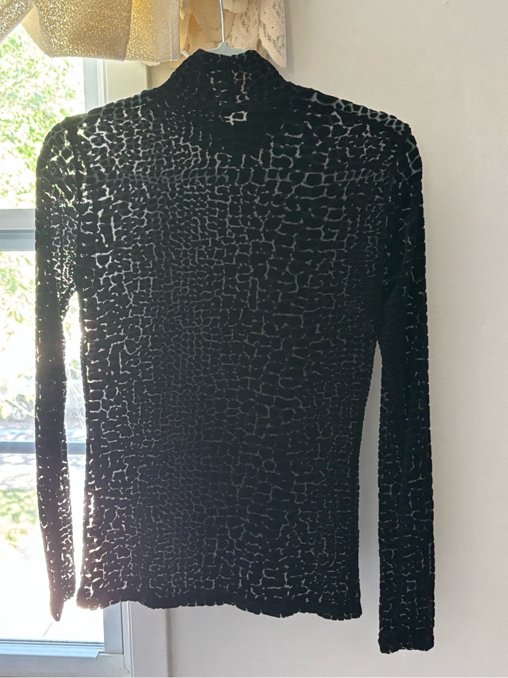 Express Giraffe Print Sheer Velvet Burnout Mock Kneck Long-Sleeve